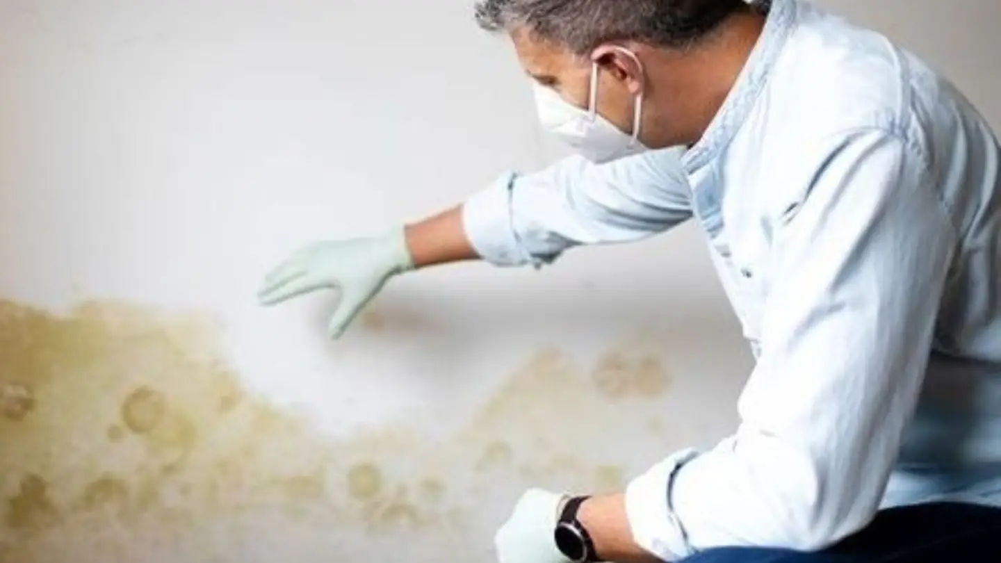 Inspector in a mask checking a water-stained wall for damage